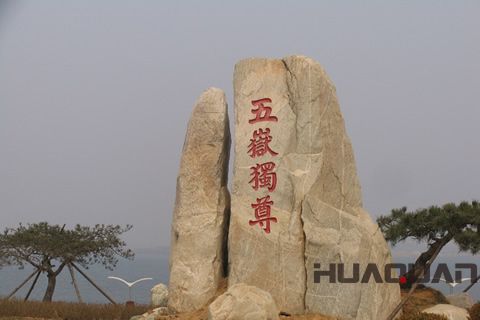 春晚花落泰山？華全機組關注之余還做了這事兒