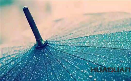 五月的雨，灑遍濰坊，鮮活了一座城，清新了城里的華全人